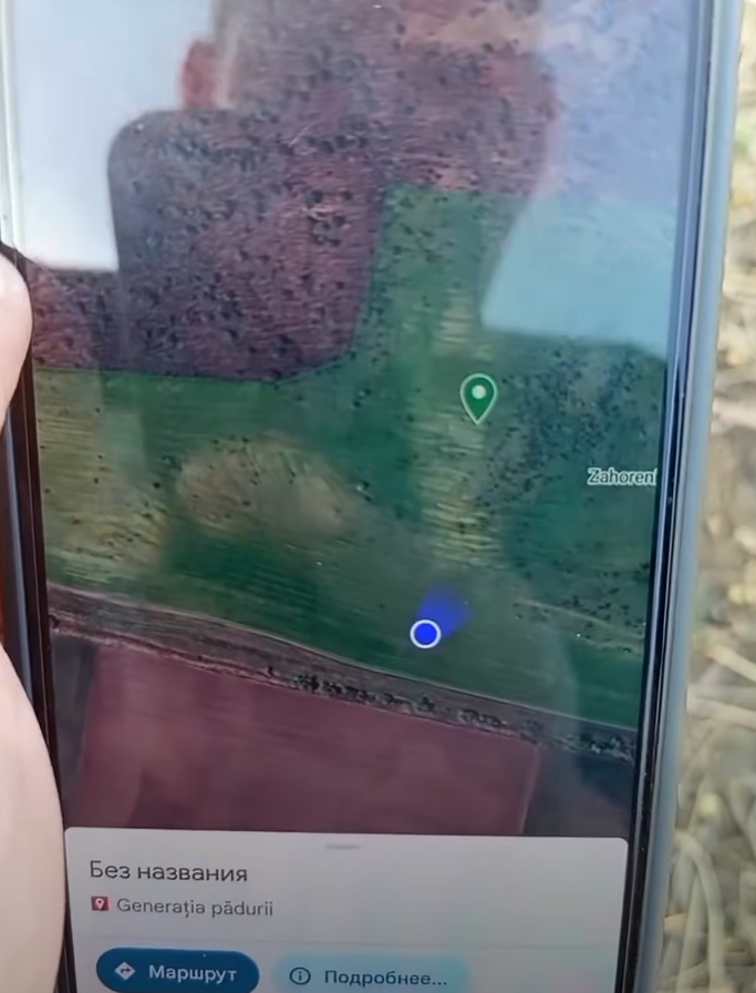 Plantările din Republica Moldova – o rușine verde acoperită de tăcerea Ecologiei! - Garda Națională de Mediu